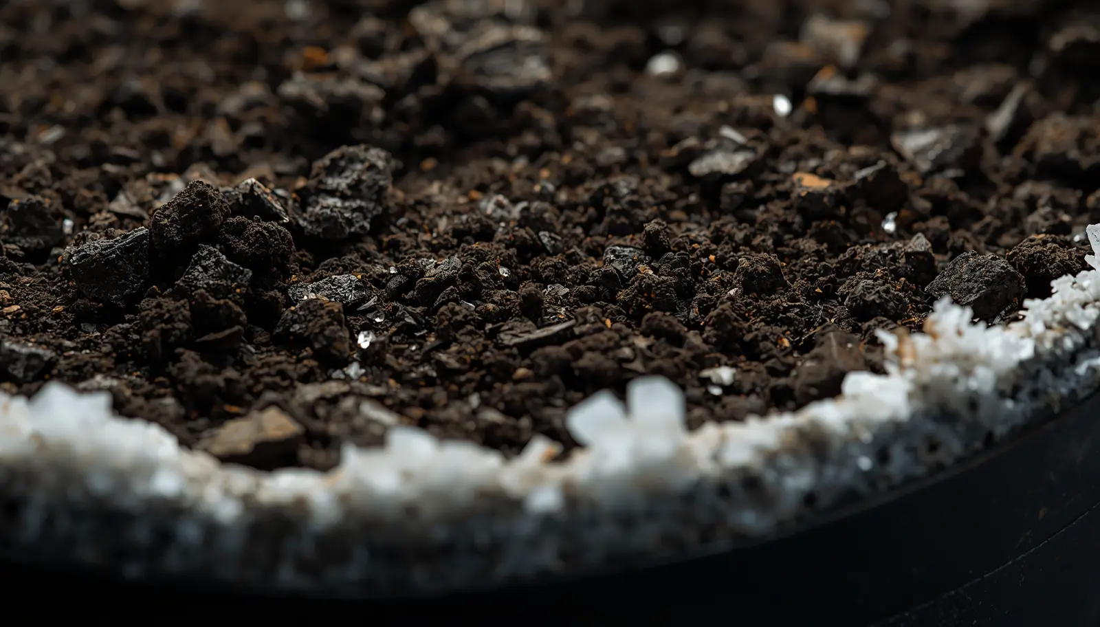 Monstera pot showing white crusty mineral salt deposits on soil surface and terracotta rim from fertilizer buildup requiring flushing protocol