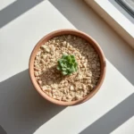 Succulent Care