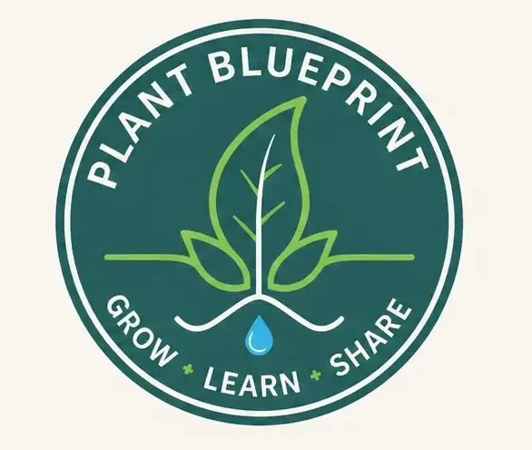 www.plantblueprint.com